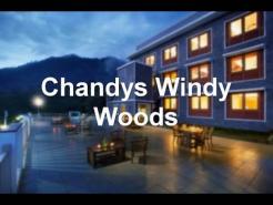 Chandys Windy Woods, Munnar, India 5 star hotel