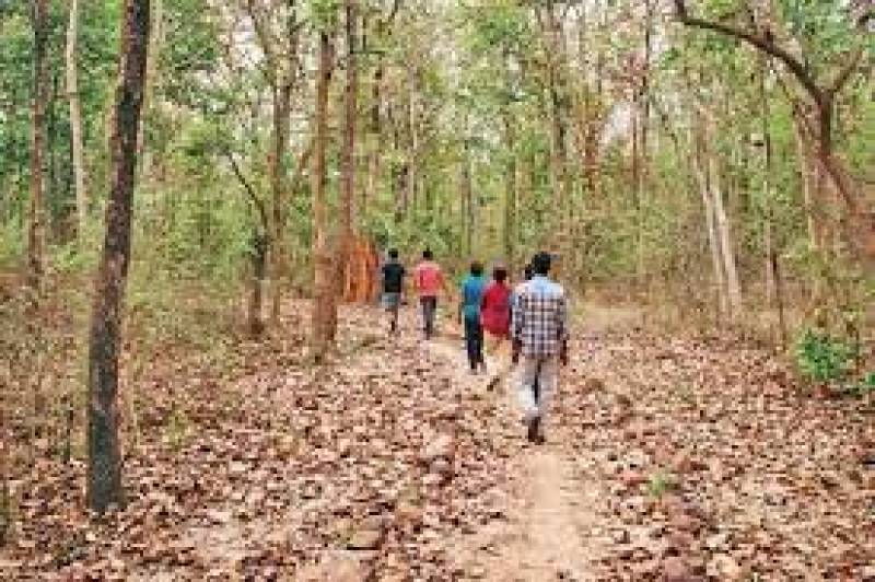 Union govt targets four protected areasof Odisha as eco-tourism sites