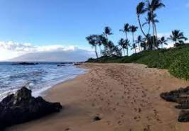 Hawaii set to welcome all vaccinated tourists for leisure travel