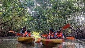 The Mangrove Kayaking of Udupi is its latest tourist attraction