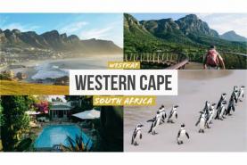 Western Cape on 27% recovery in International trips for December 2021