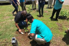 Jewel Grande Montego Bay Resort & Spa: more trees, less plastic for Jamaica