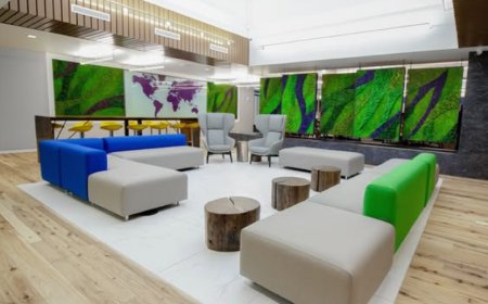 Garden on the Wall: Cultivating Maintenance-Free Biophilic Beauty Since 2013